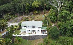 Bottle Palm Villa